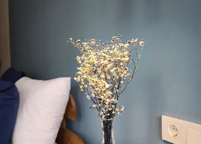 La Casa Privada * Stambuł